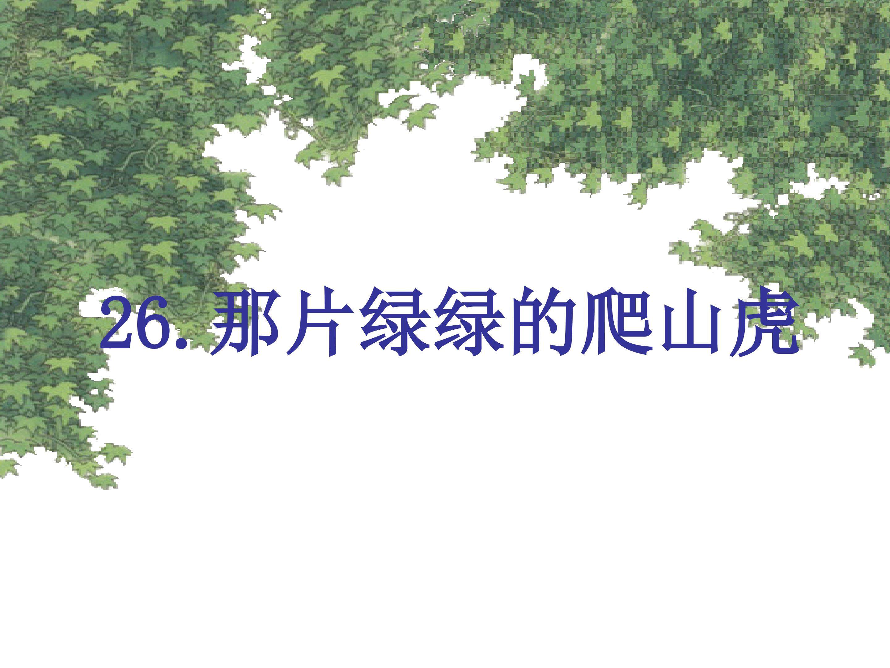 那片绿绿的爬山虎