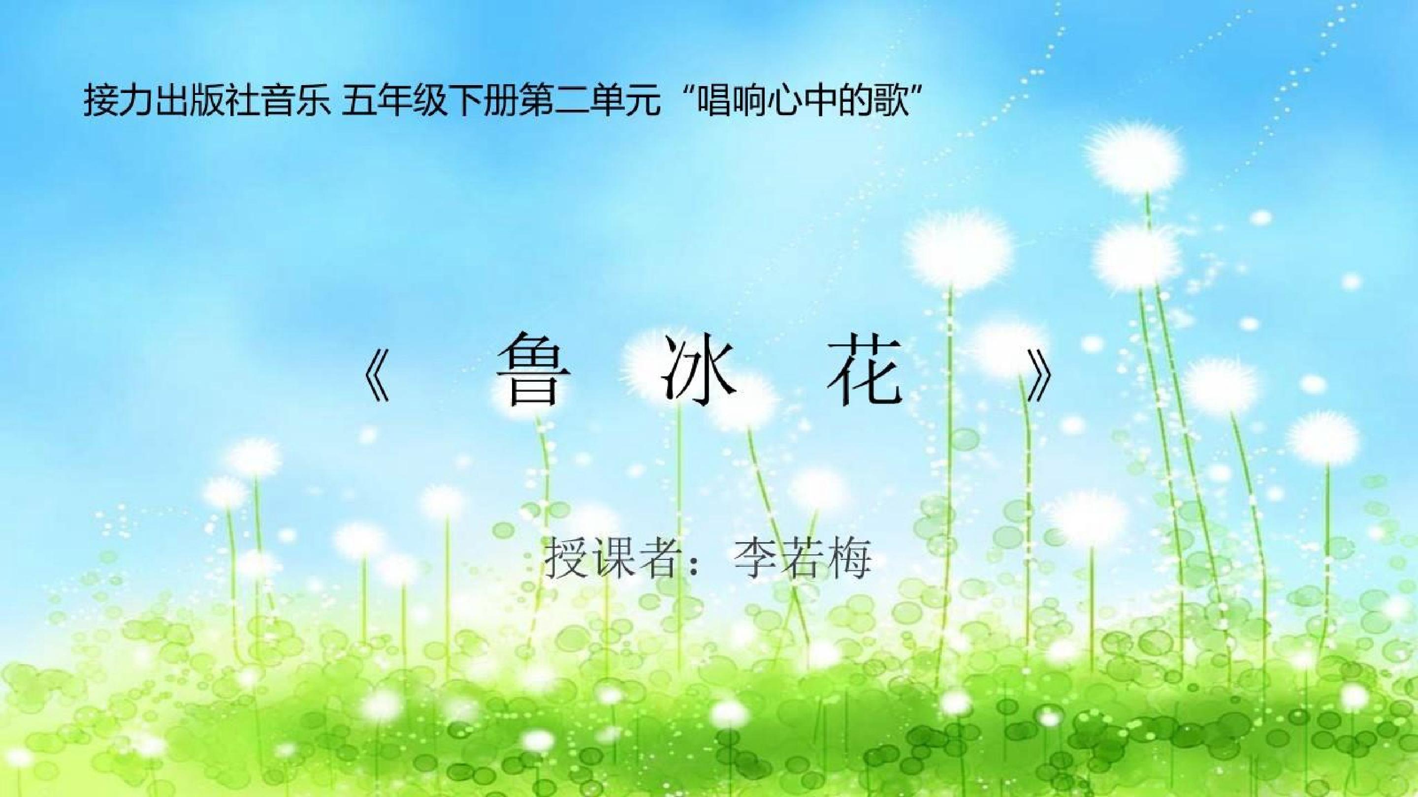 鲁冰花