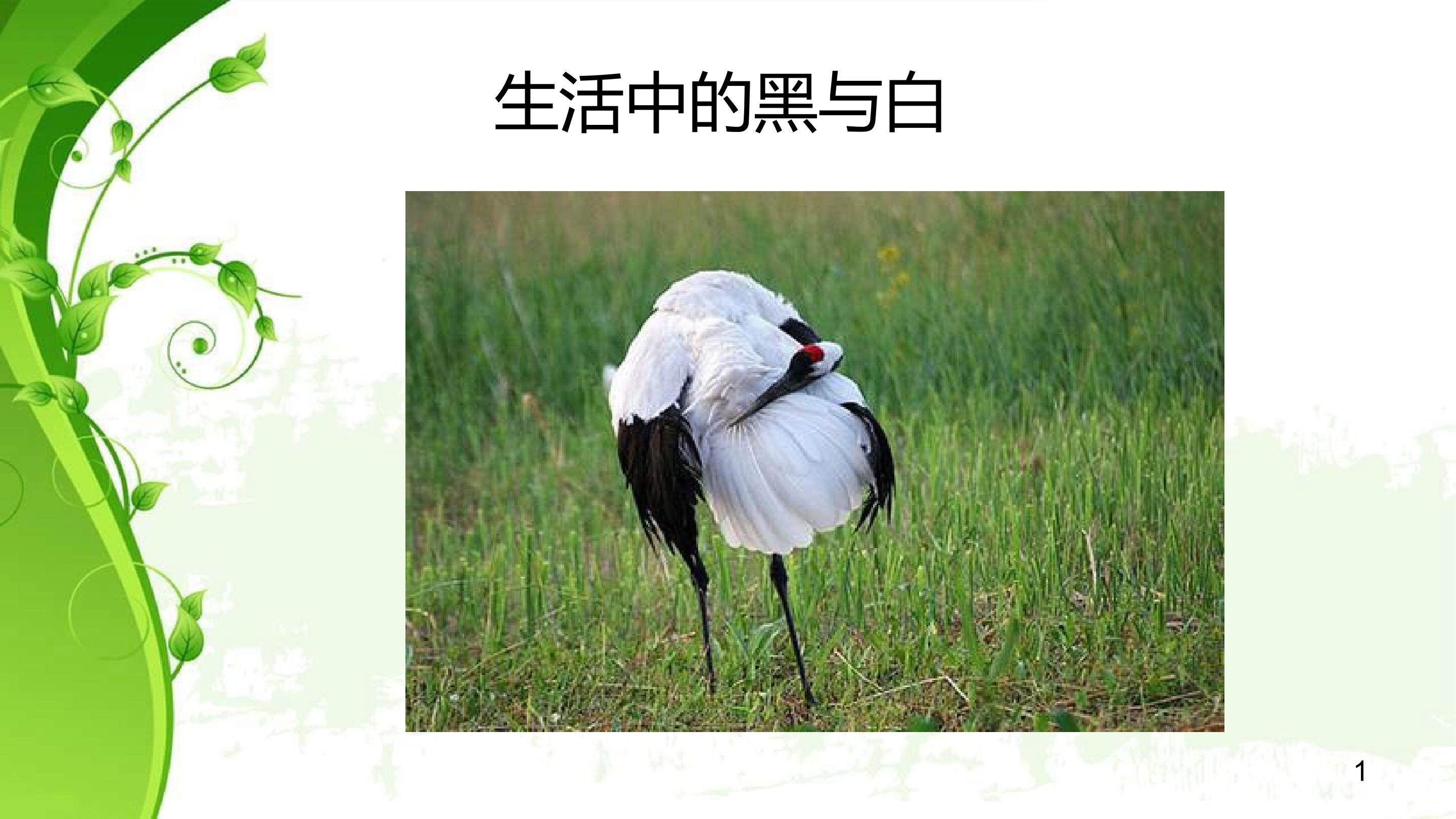 黑白装饰画