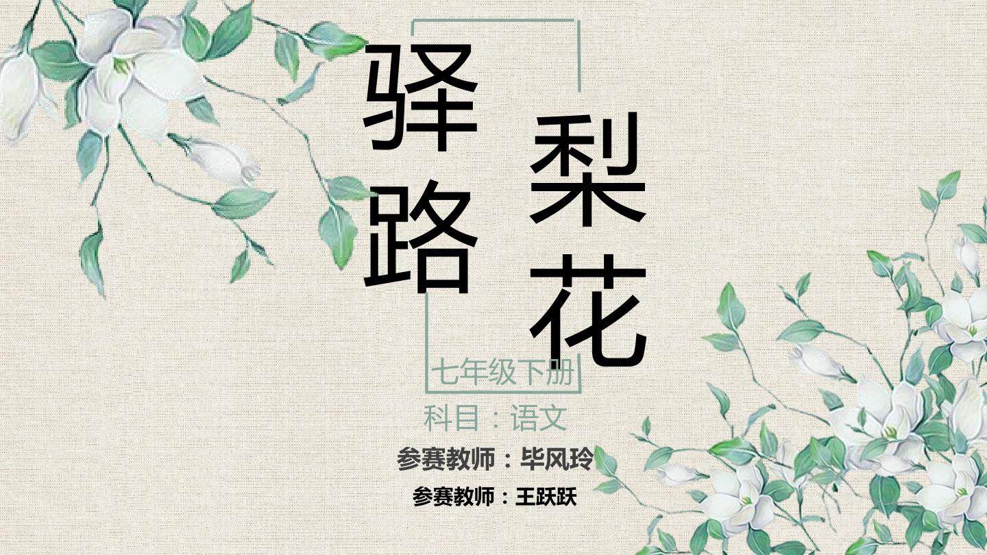 梨花的多层含义和作用