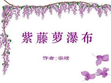 紫藤萝瀑布_课件3
