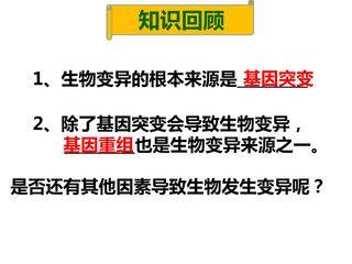 《染色体变异》教学课件