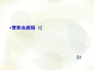 模型三