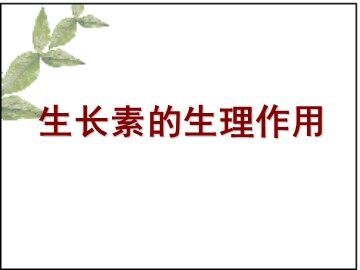 生物高中必修3第三章第二节课件6