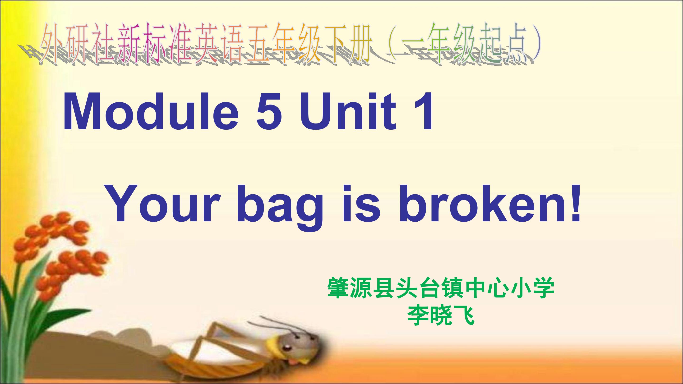 《Your bag is broken》