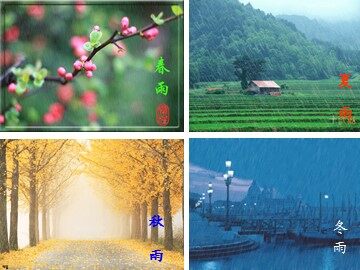 11 秋天的雨