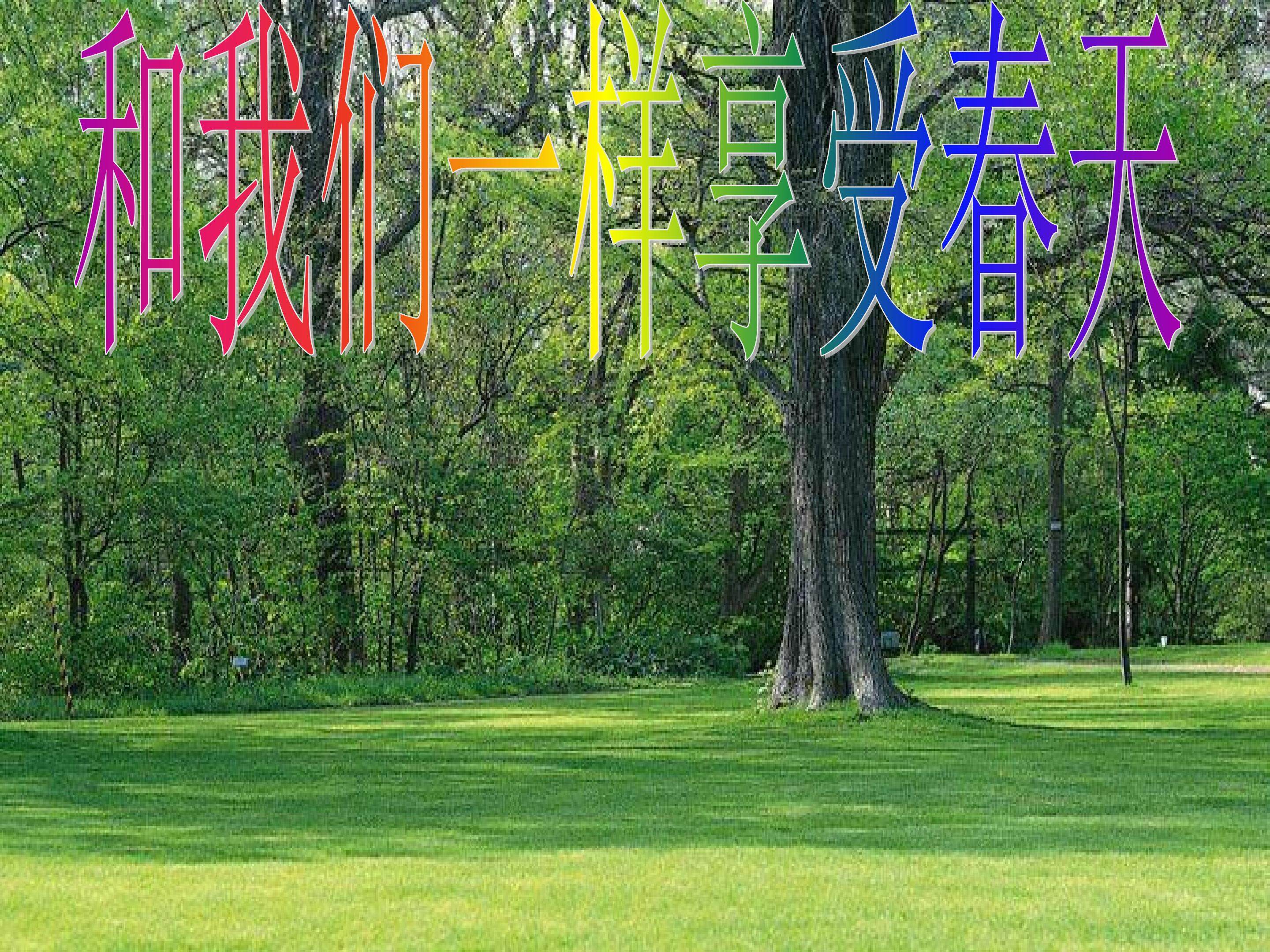 和我们一样享受春天
