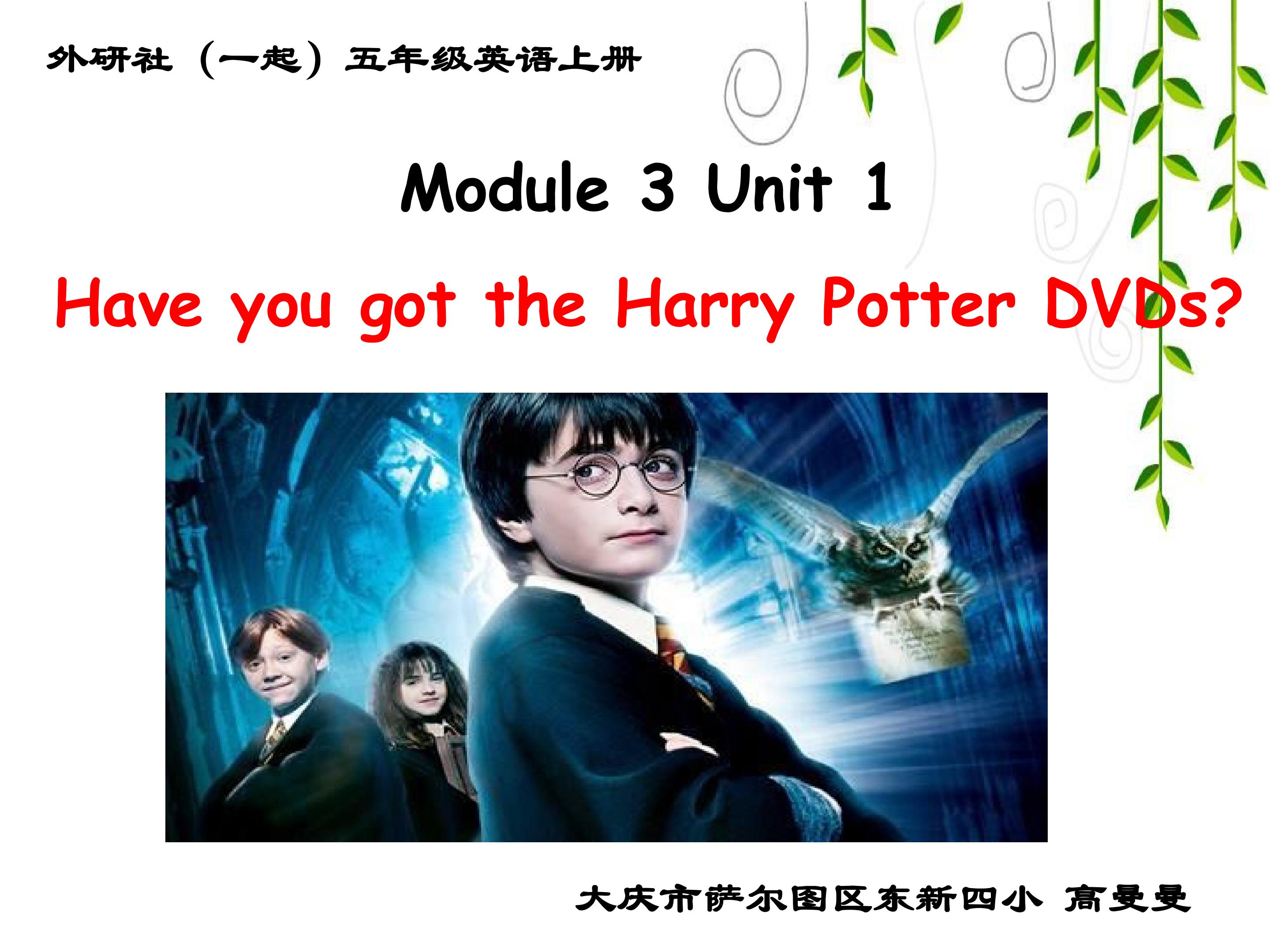 M3U1 Have you got the Harry Potter DVDs?