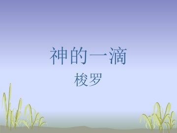 神的一滴_课件1