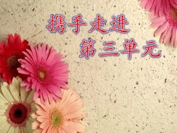 亡羊补牢