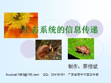 生物高中必修3第五章第四节课件5