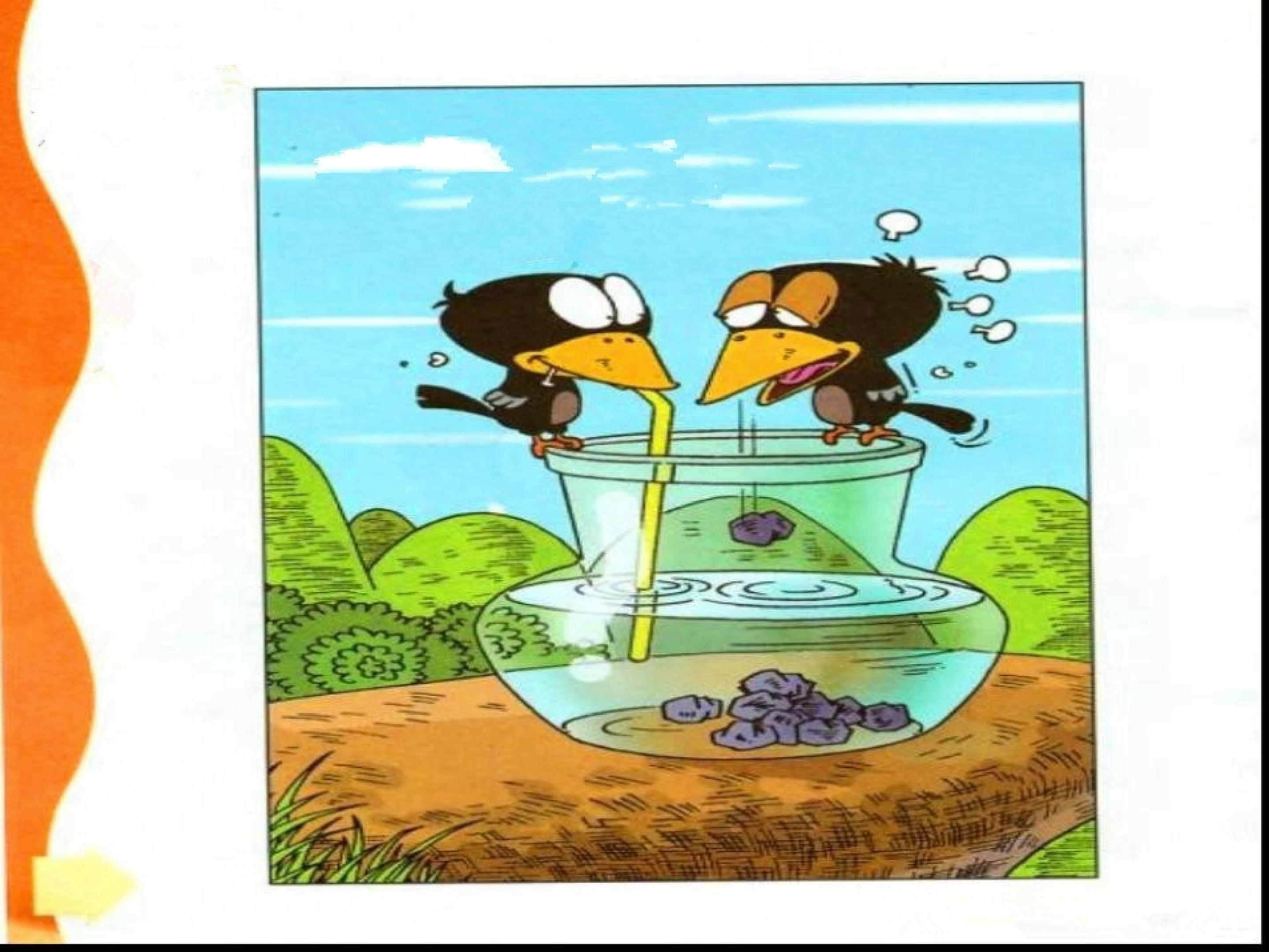27.jpg