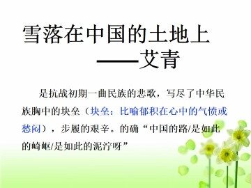 雪落在中国的土地上_课件1