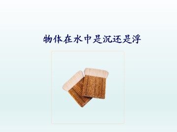 物体在水中是沉还是浮_课件1