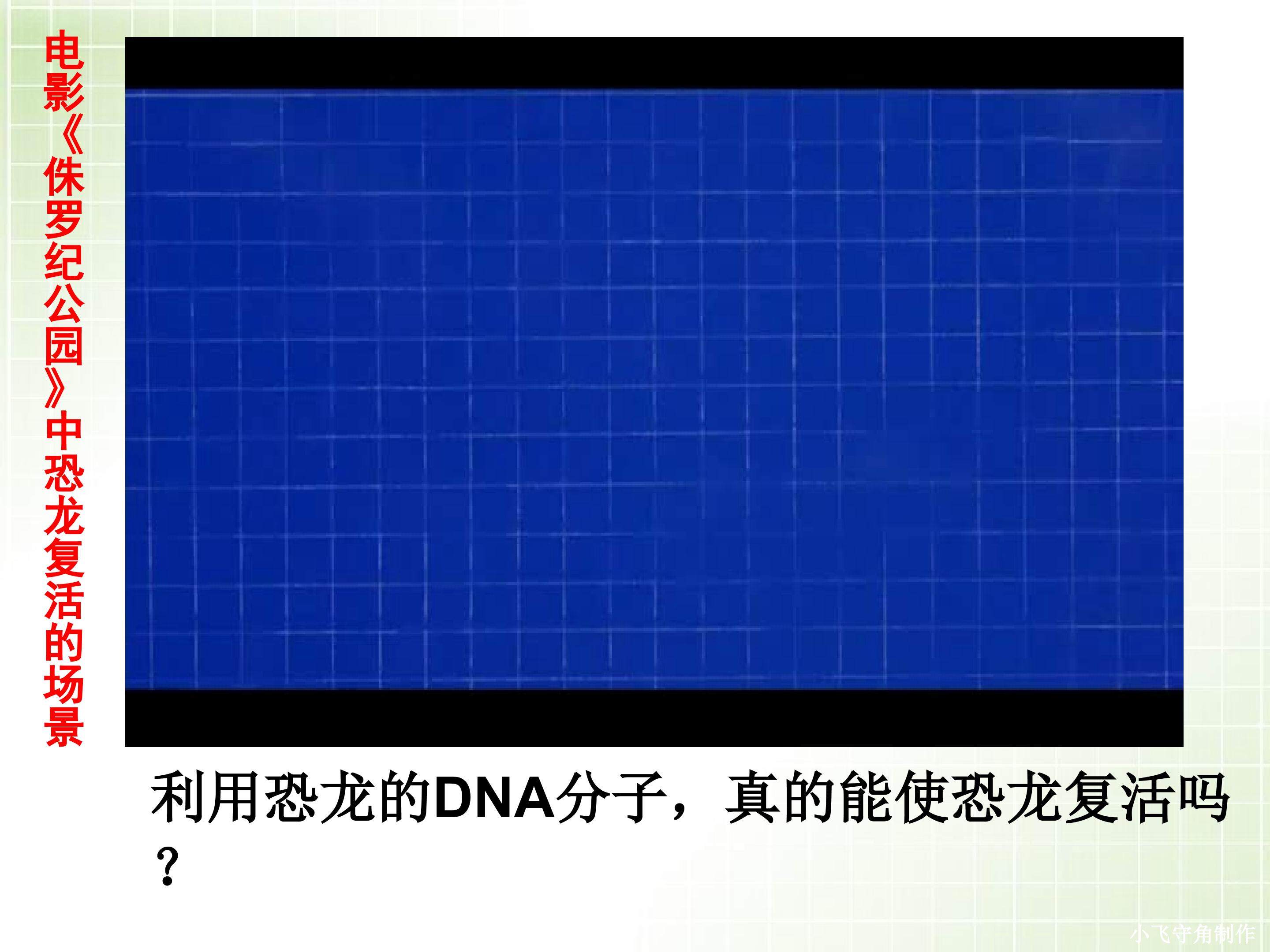 基因指导蛋白质的合成