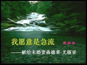 我愿意是急流_课件1
