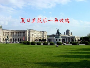 夏日里最后一朵玫瑰_课件1