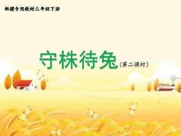 守株待兔