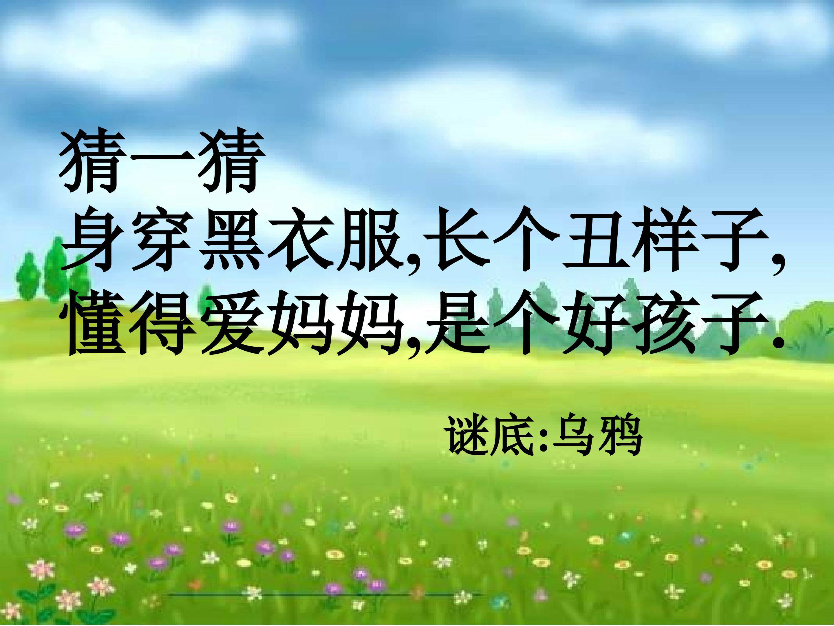 小马过河