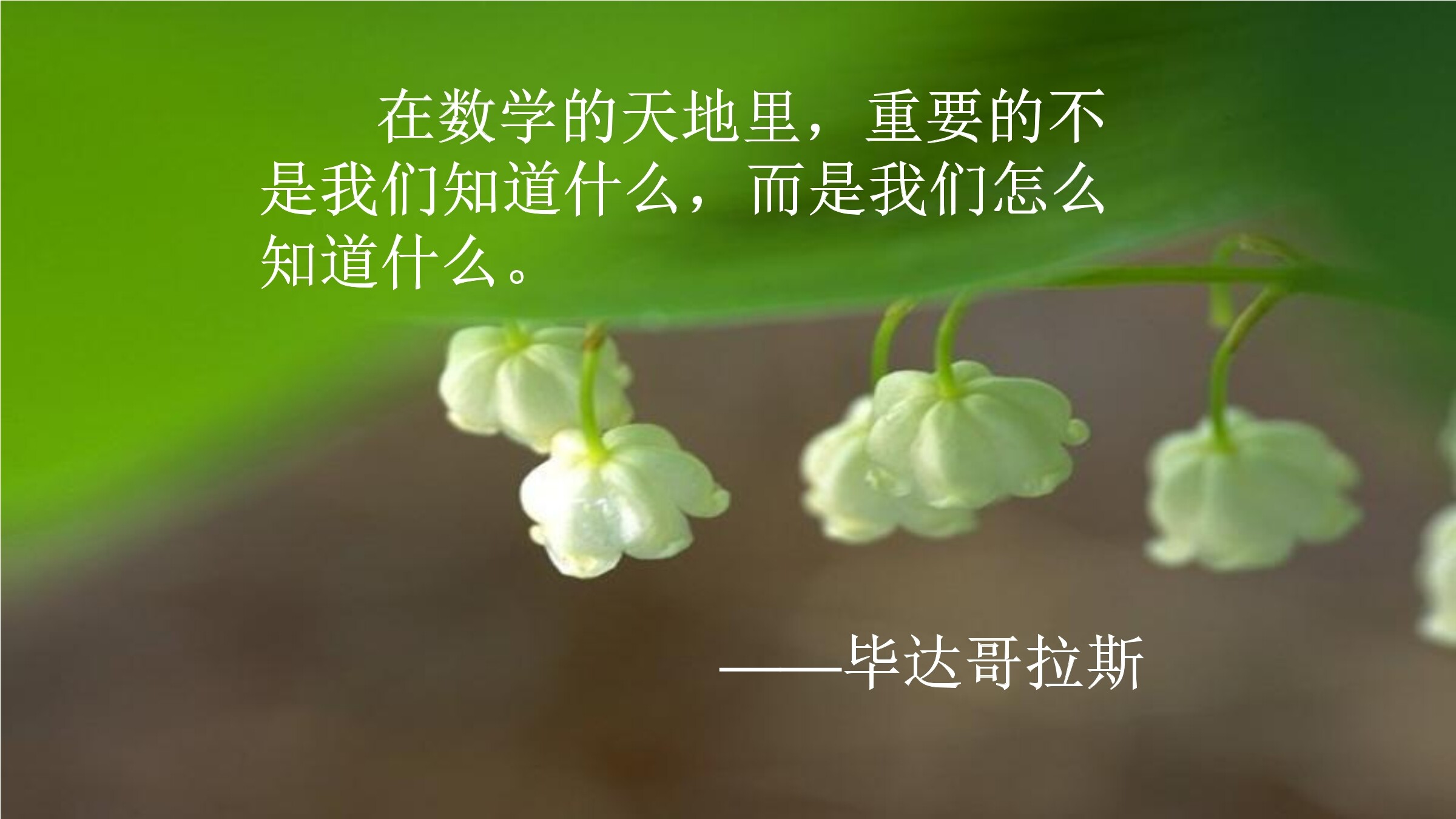 17