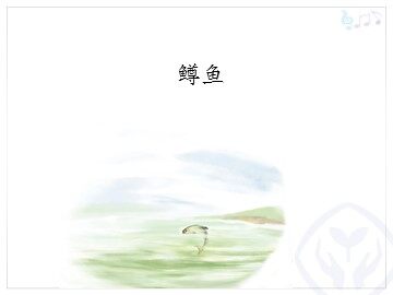 鳟鱼_课件1