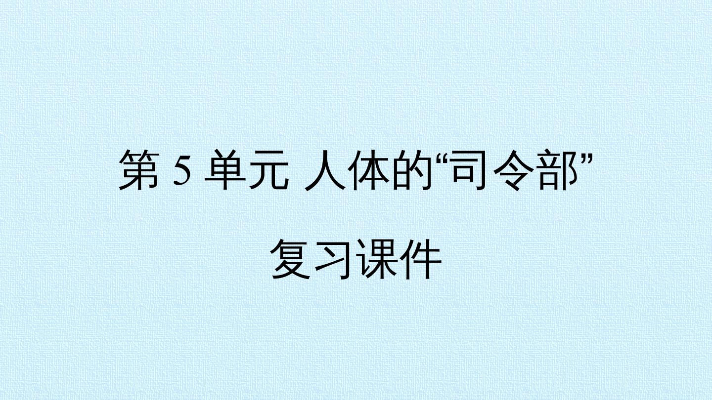 第5单元 人体的“司令部” 复习课件