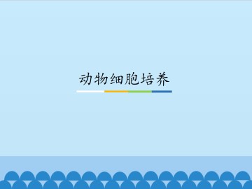 动物细胞培养_课件1