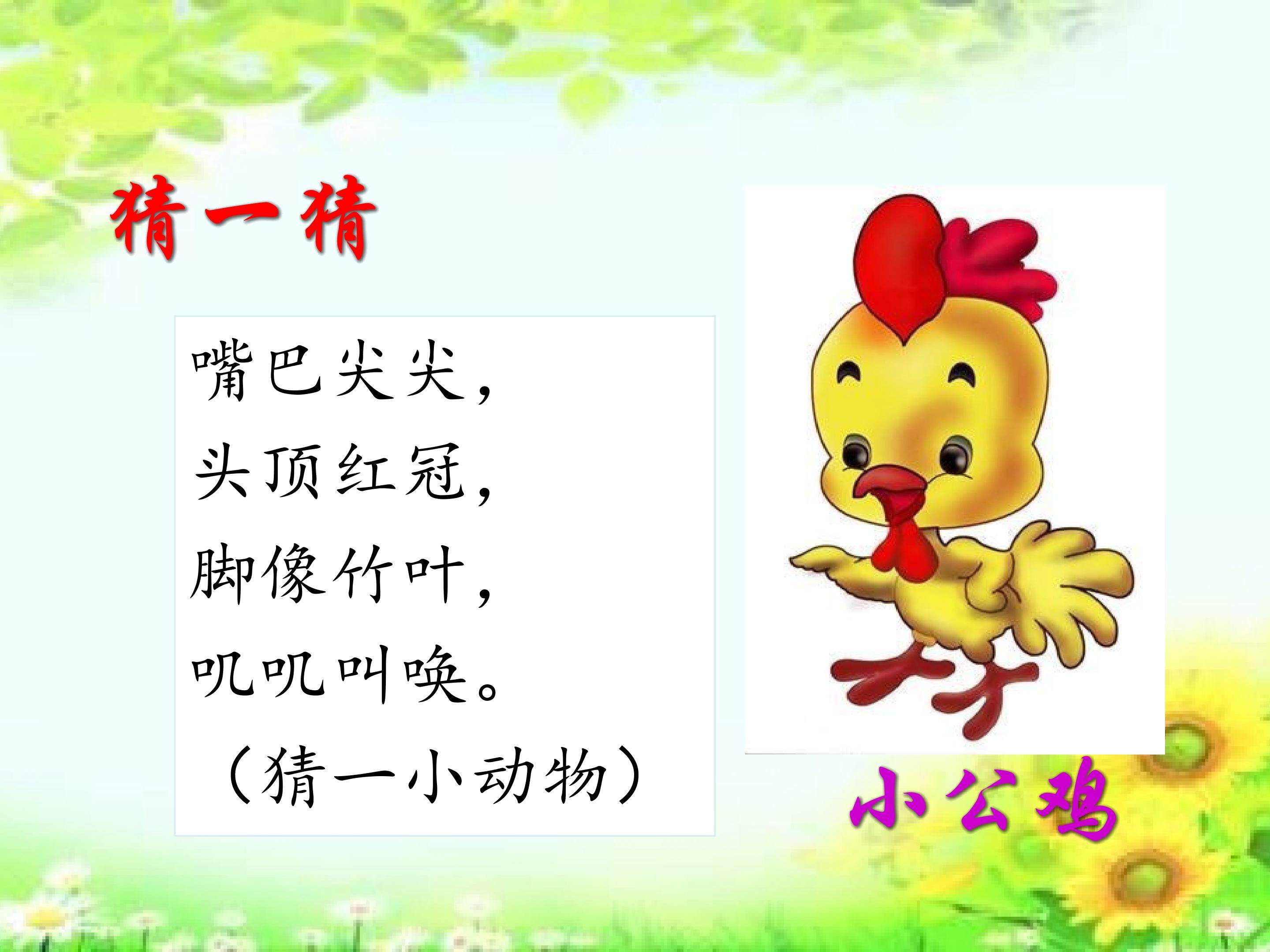 小公鸡和小鸭子