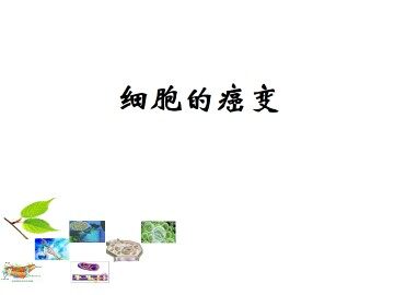 细胞的癌变_课件1