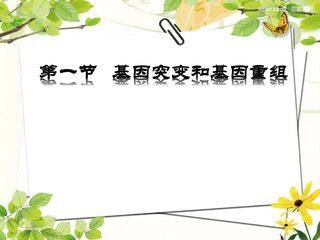 高中生物必修二5.1基因突变和基因重组
