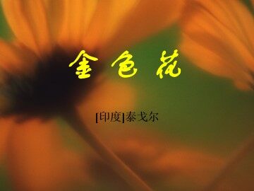 金色花_课件4