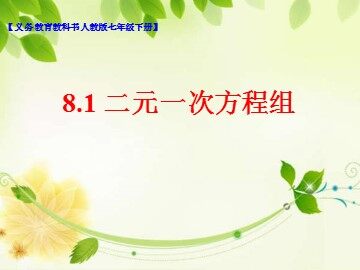 8.1 二元一次方程组
