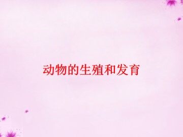 动物的生殖和发育_课件2