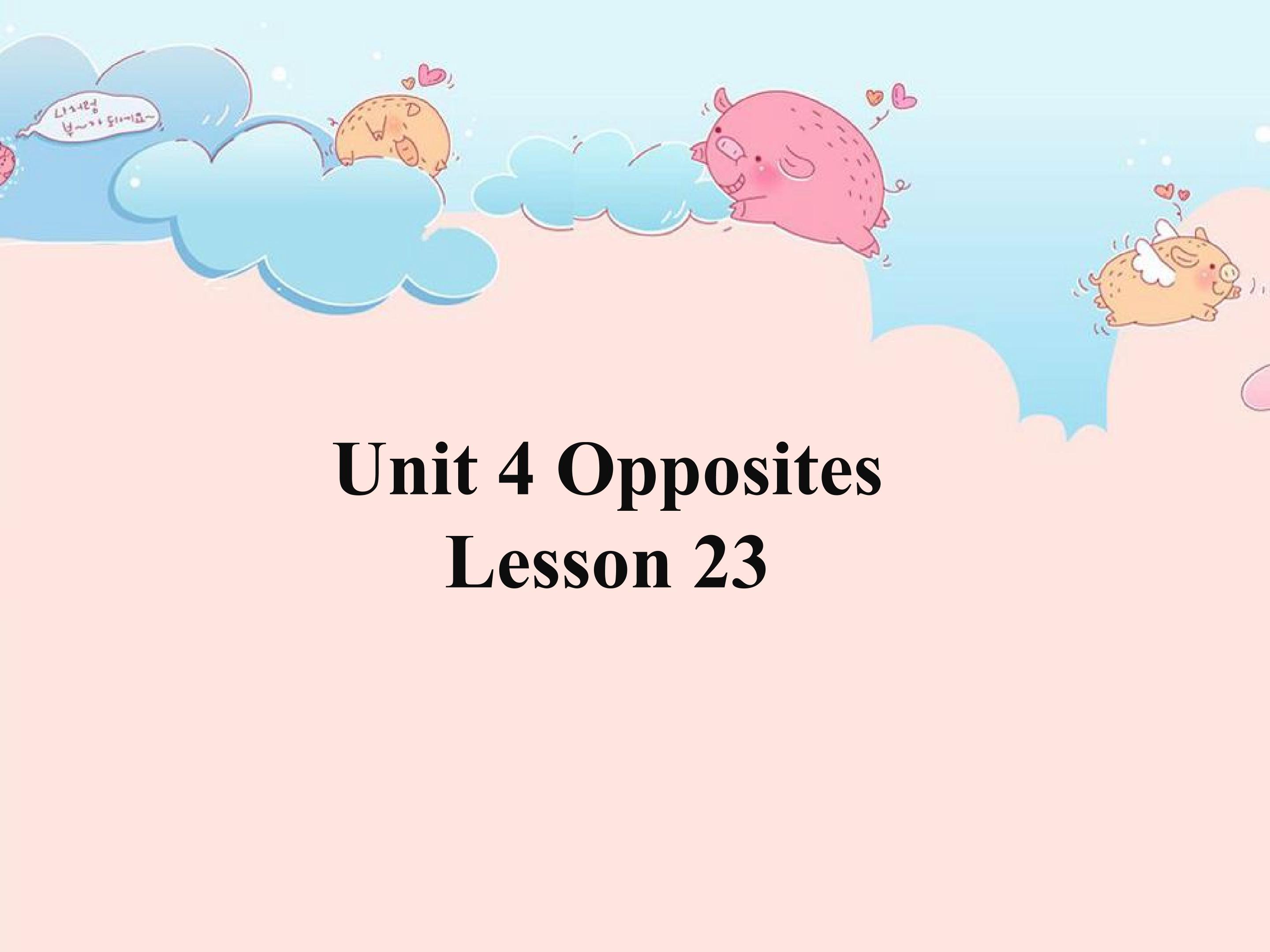 Unit 4 Opposites Lesson 23