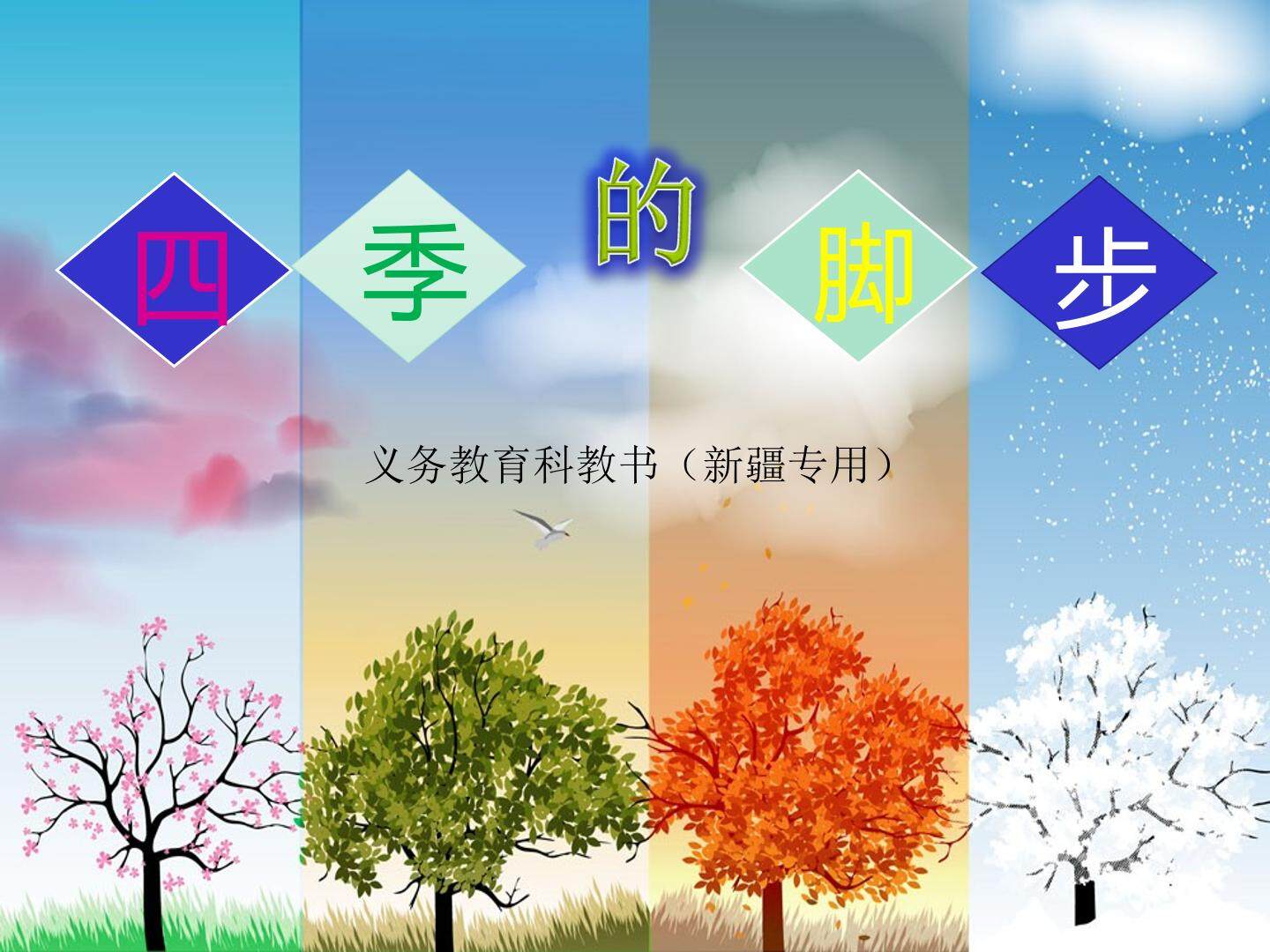 1  四季的脚步