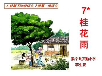 《桂花雨》课件 李生花