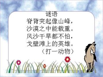 16* 找骆驼