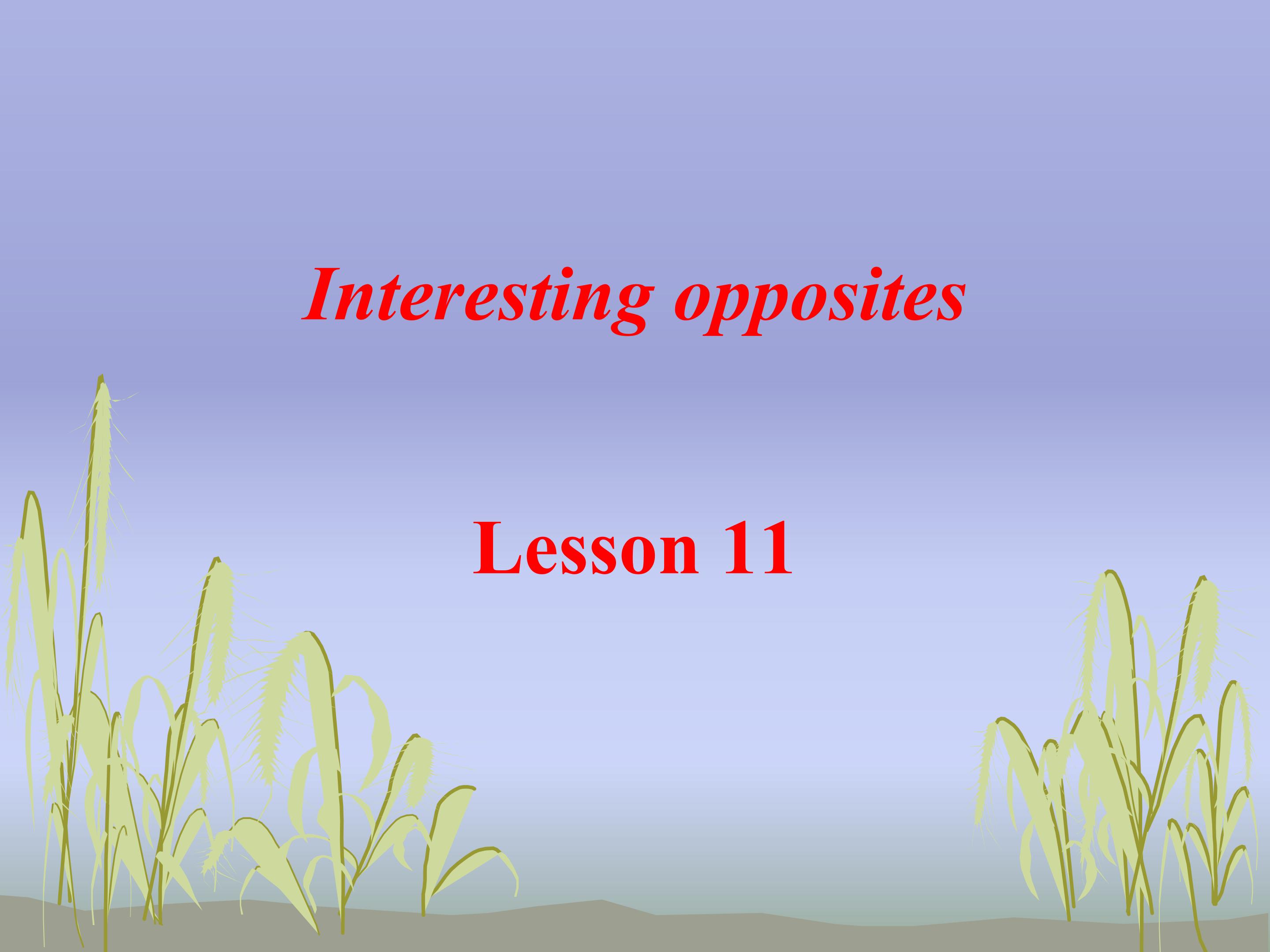 Unit2 Interesting opposites Lesson11