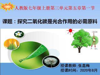 探究二氧化碳是光合作用的必须原料吗?