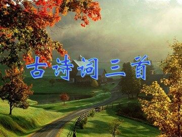 牧童