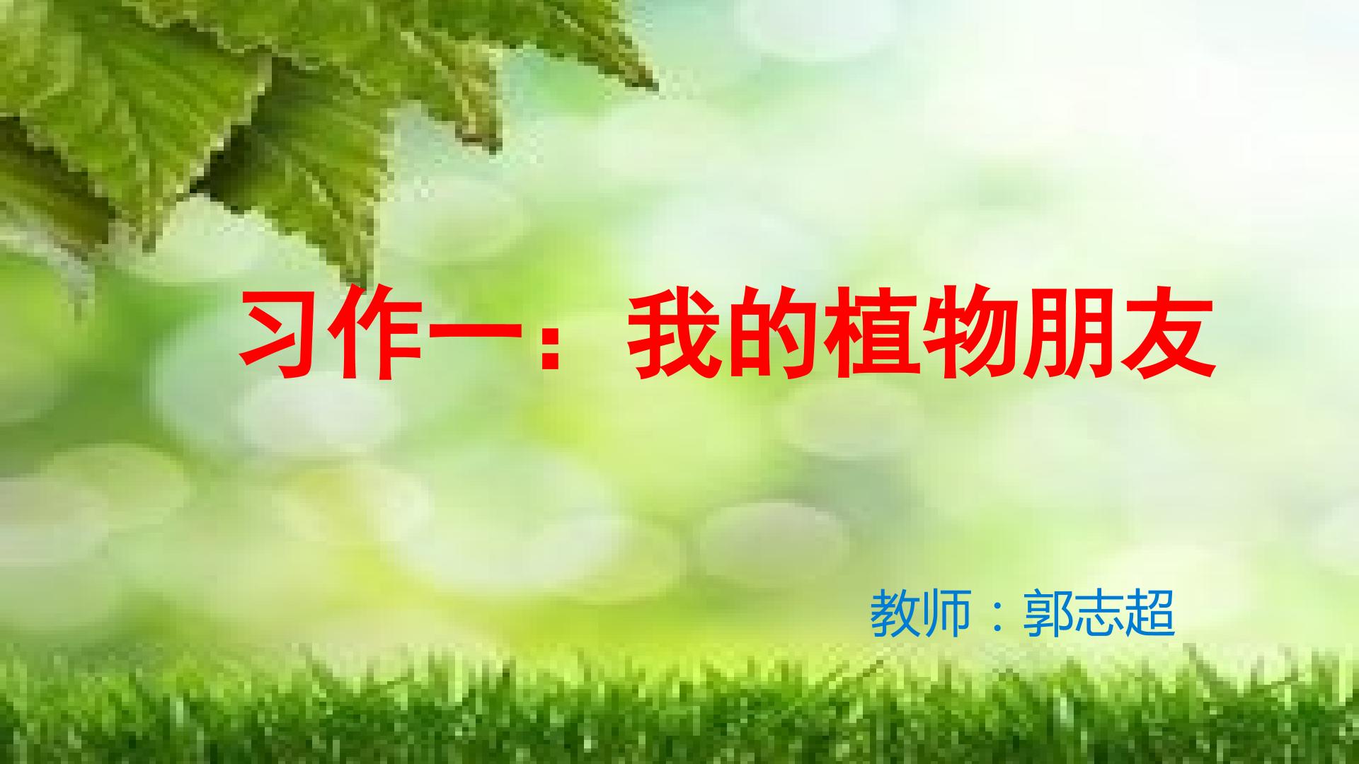 习作一：我的植物朋友