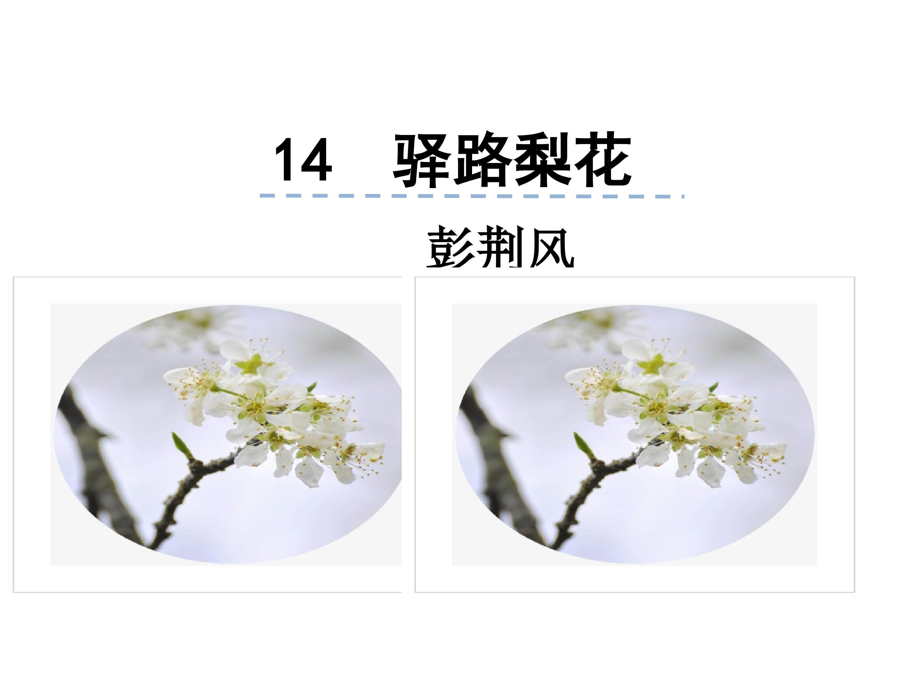 驿路梨花
