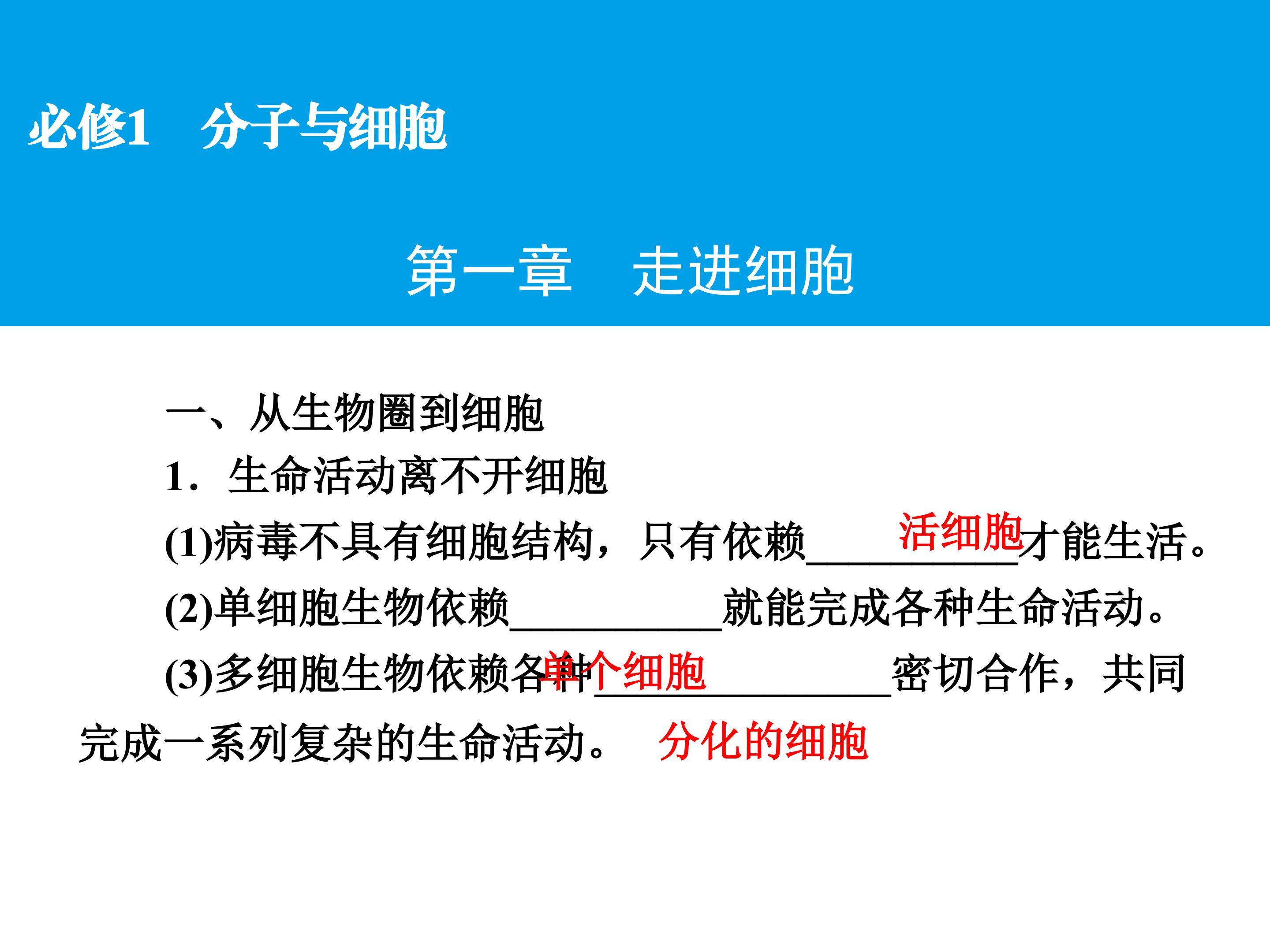 第一单元 走近细胞