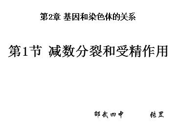减数分裂和受精作用