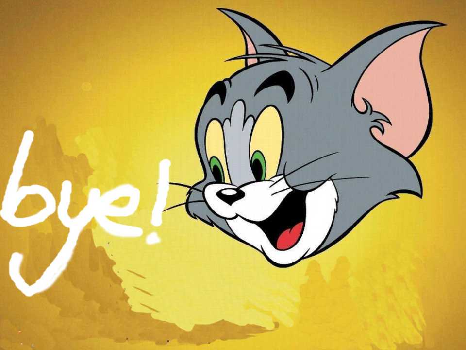 144.jpg