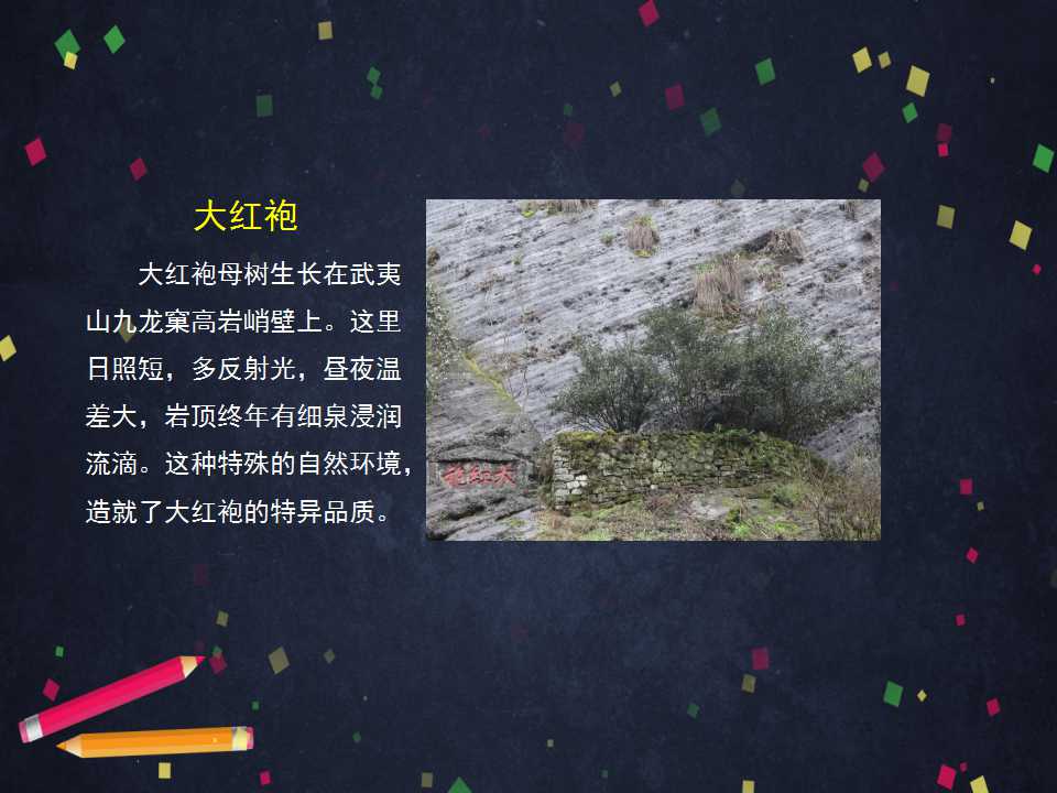 67.jpg