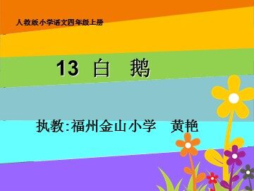 13白鹅第一课时