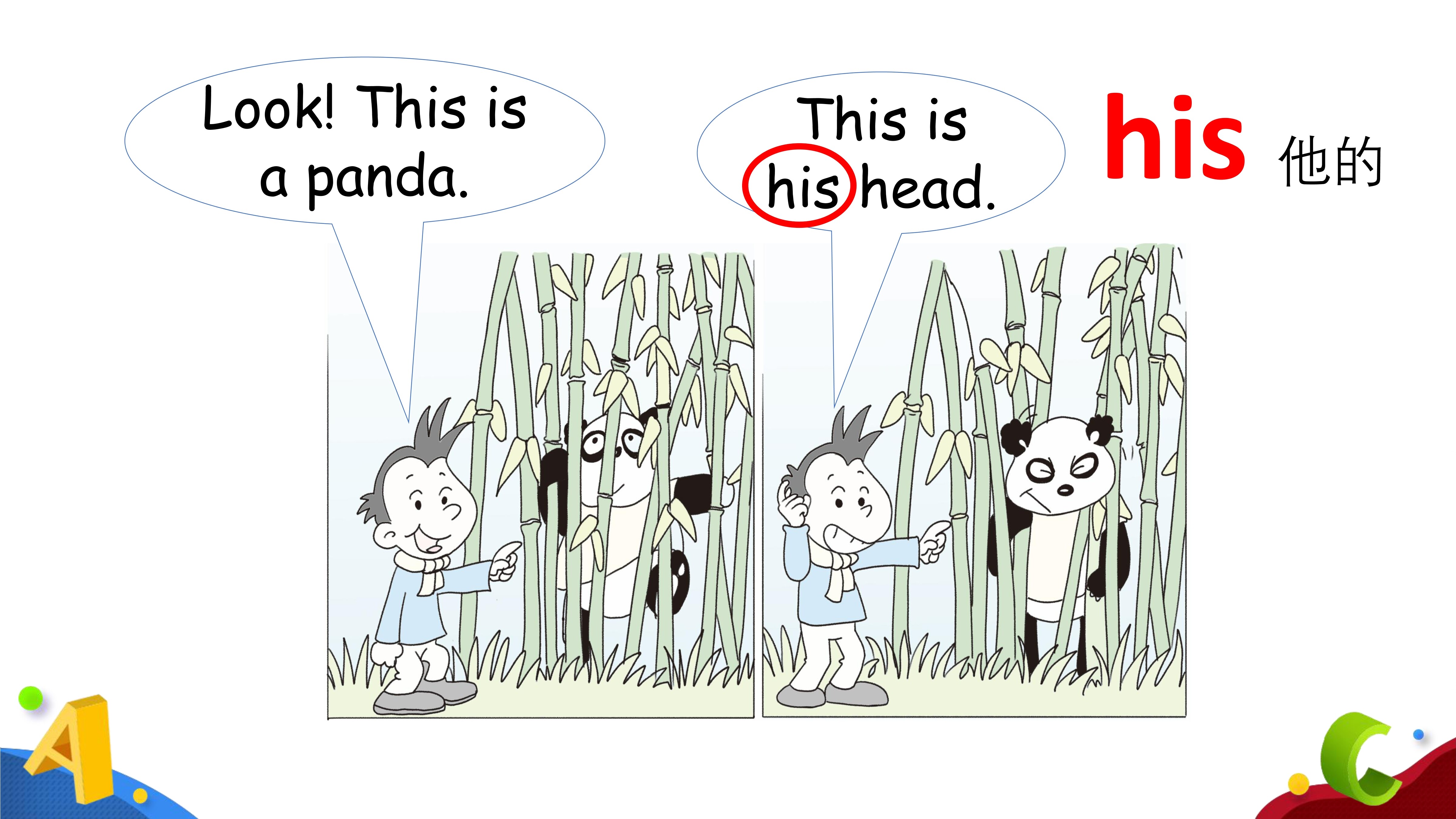 36