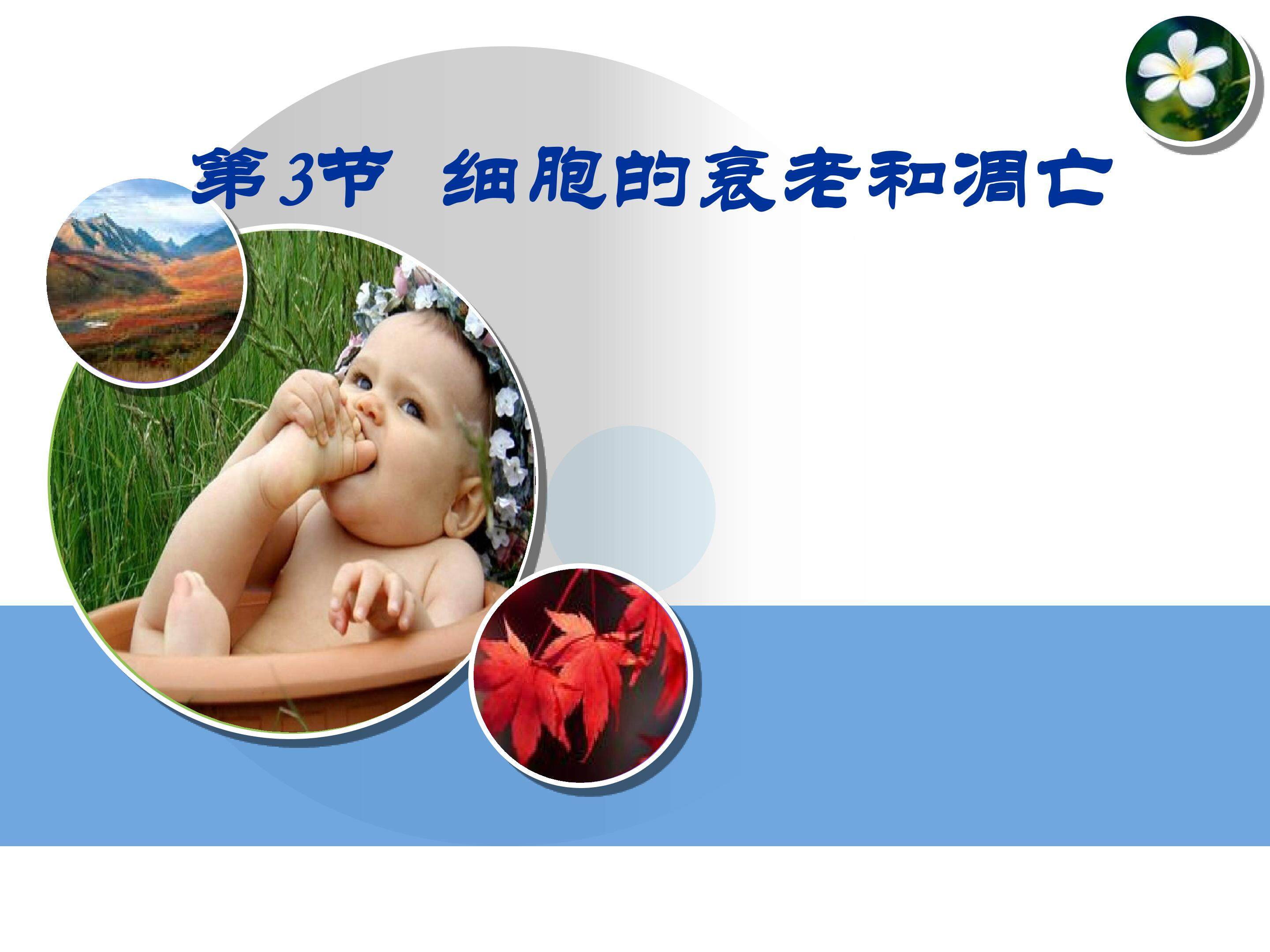 细胞的衰老和凋亡