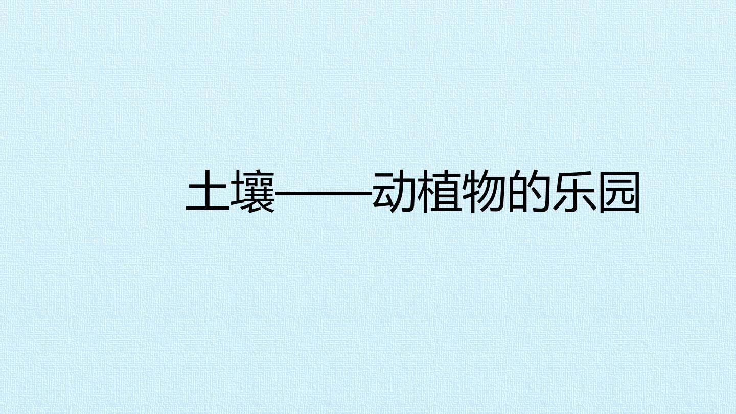 土壤——动植物的乐园_课件1